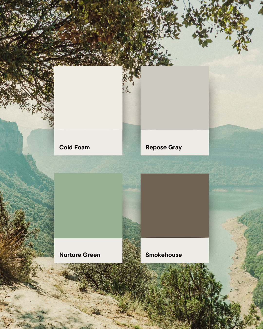 Personalized Home Color Experience
